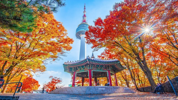 Tháp Namsan (Seoul Tower): Ngắm Seoul về đêm, ổ khóa tình yêu và lưu ý tham quan