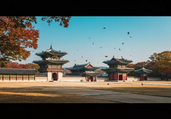 Lần đầu đi Hàn Quốc nên chọn Seoul, Busan hay Jeju?