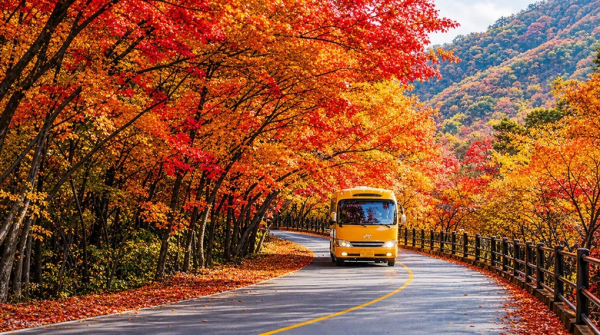 Lịch trình Hàn Quốc kết hợp Busan – Jeju cho người có nhiều thời gian: Cung đường dài và cách sắp xế