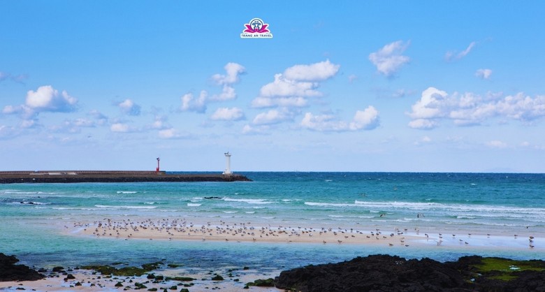 Bãi biển nước trong xanh và đường ven biển Jeju ngày hè