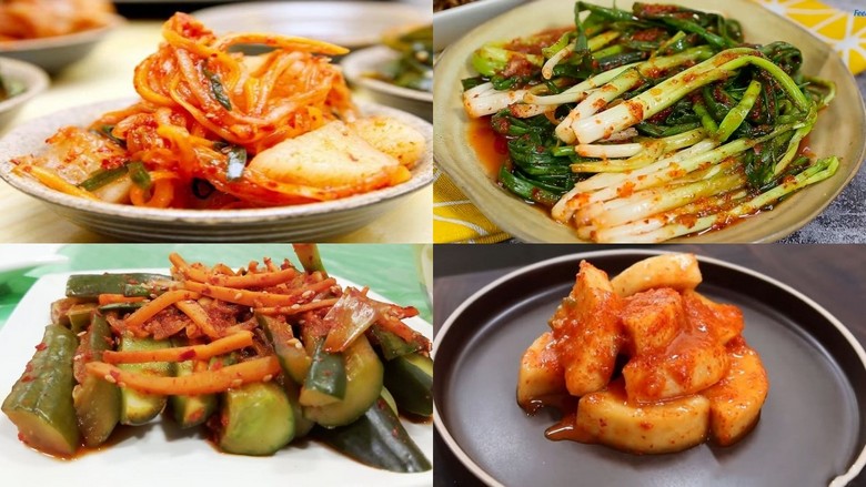 Bốn loại kim chi khác nhau xếp trên đĩa trắng để so sánh màu sắc