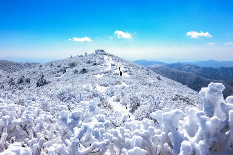 Cảnh tuyết phủ trắng núi rừng Gangwon-do vào mùa đông Hàn Quốc