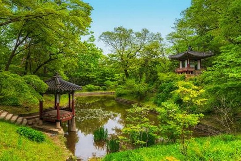 Lầu Buyongjeong và hồ Buyongji trong Vườn Bí Mật mùa thu lá vàng