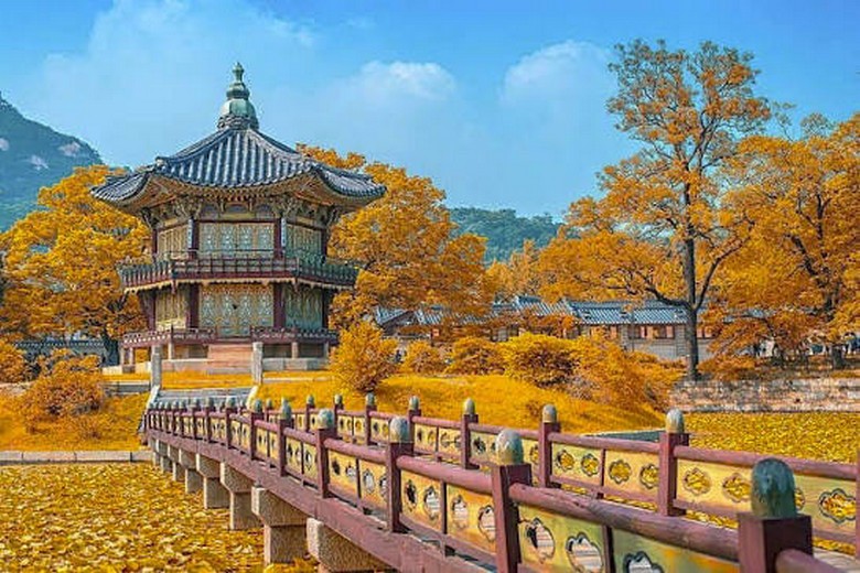 Lối đi rợp lá vàng trong Vườn Bí Mật Changdeokgung vào mùa thu