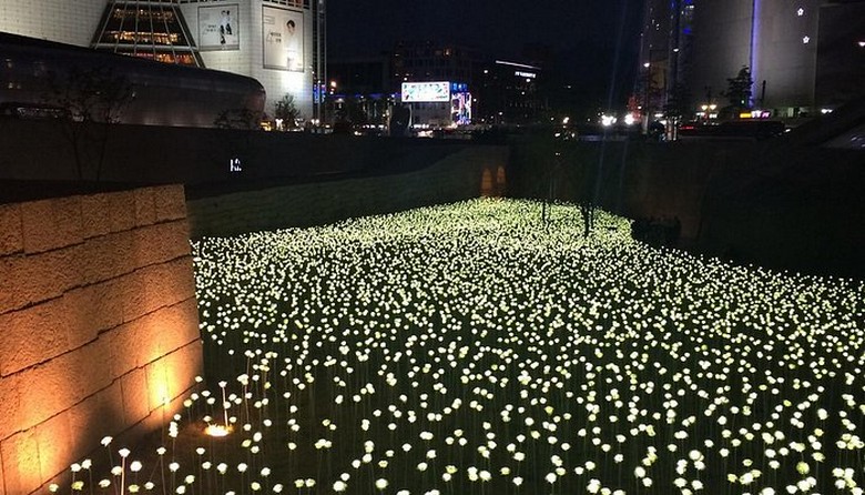 Tòa nhà DDP bạc lên đèn lung linh về đêm ở khu Dongdaemun