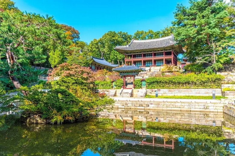 Toàn cảnh điện Injeongjeon của cung Changdeokgung giữa nền cây xanh