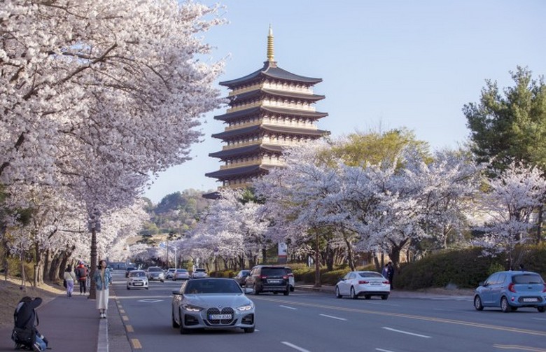 Toàn cảnh cố đô Gyeongju với lăng mộ cổ nằm giữa phố xá hiện đại
