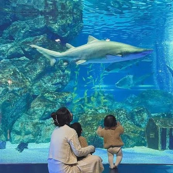 Trẻ em thích thú ngắm cá trong thủy cung ở Seoul