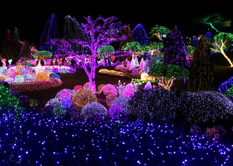 Vườn Garden of Morning Calm rực rỡ ánh đèn LED trong lễ hội ánh sáng mùa đông