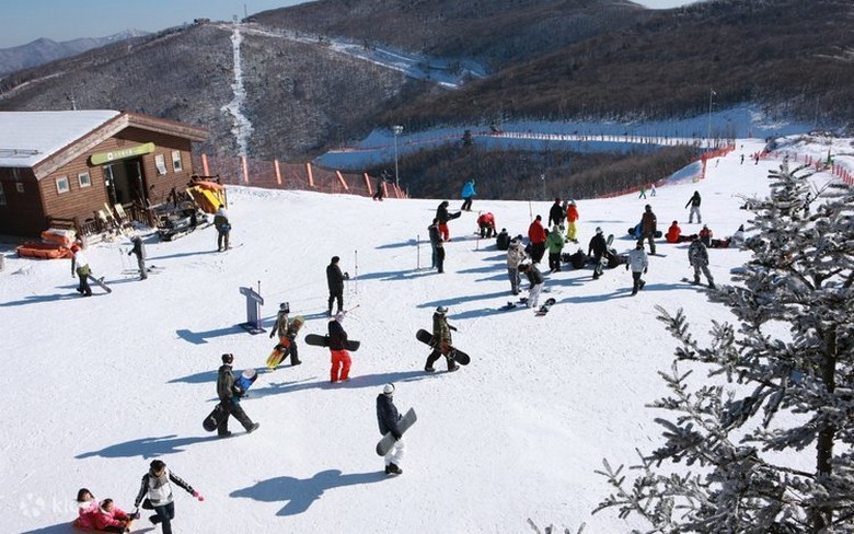Đường trượt tuyết tự nhiên tại High1 Resort nhìn từ đỉnh núi Baegunsa